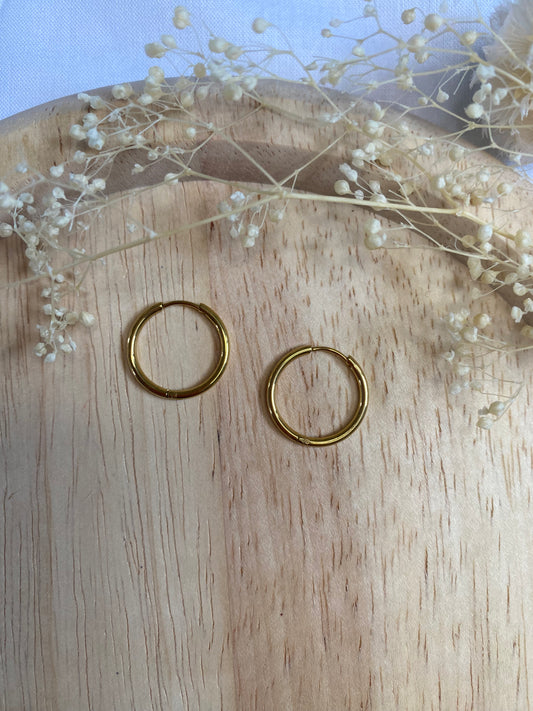 Créoles acier inoxydable doré