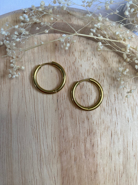 Créoles acier inoxydable doré